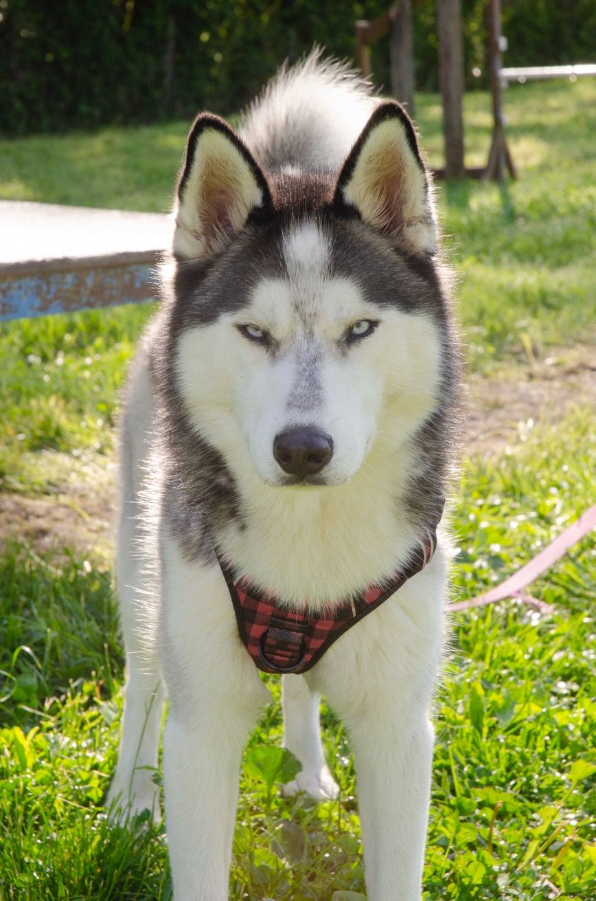 Ce regard qui te juge